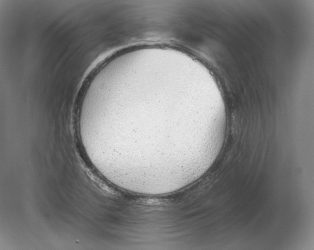 X0000080161412200701051553