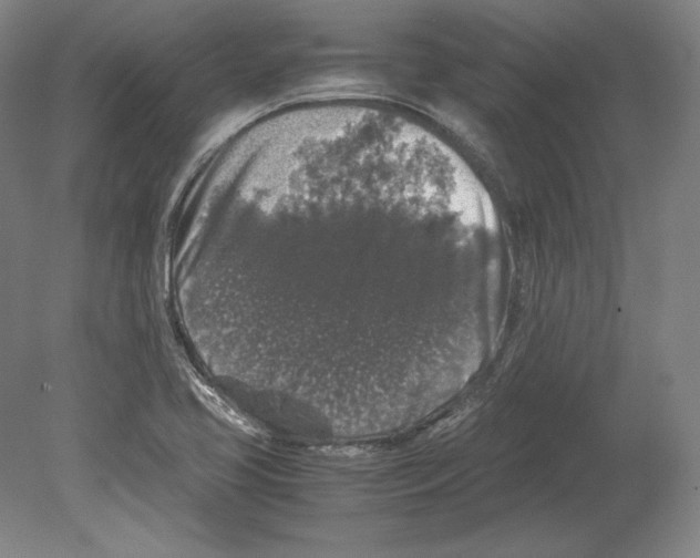 X0000080161413200701051553