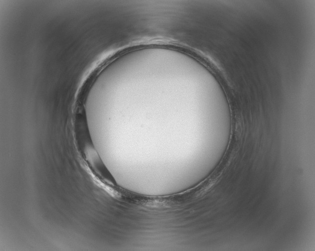 X0000080161414200701051553