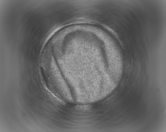 X0000080161415200701051553