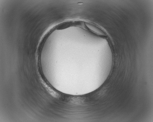 X0000080161416200701051553