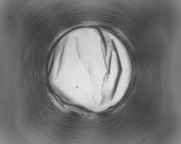 X0000080161417200701051553