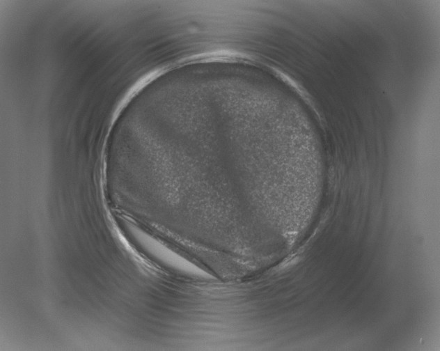 X0000080161418200701051553