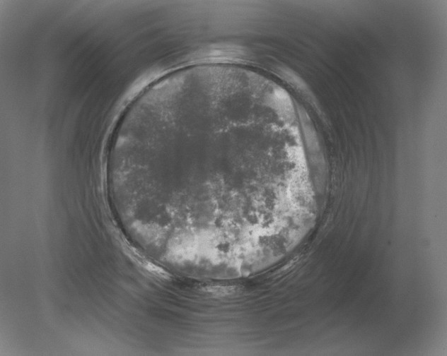 X0000080161419200701051553