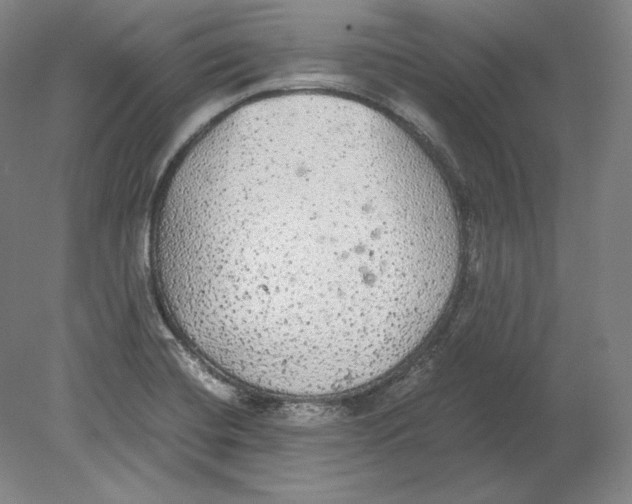 X0000080161420200701051553