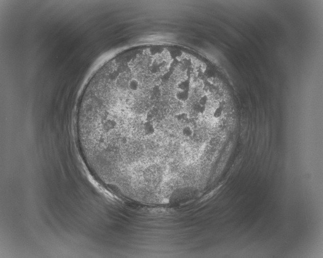 X0000080161421200701051553