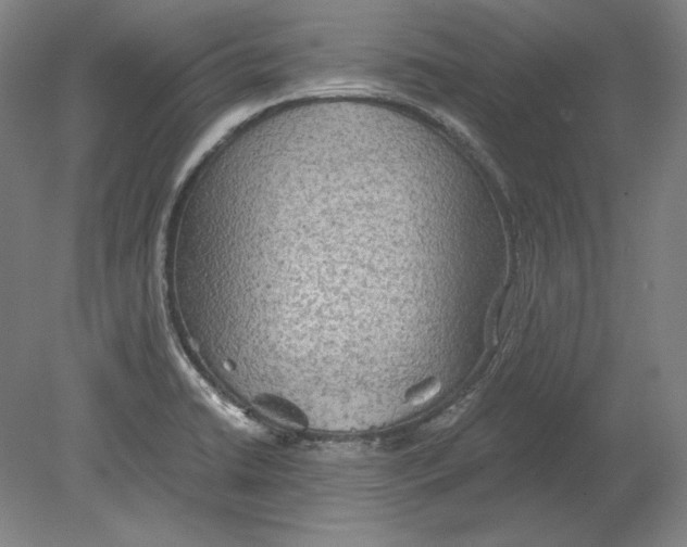 X0000080161422200701051553