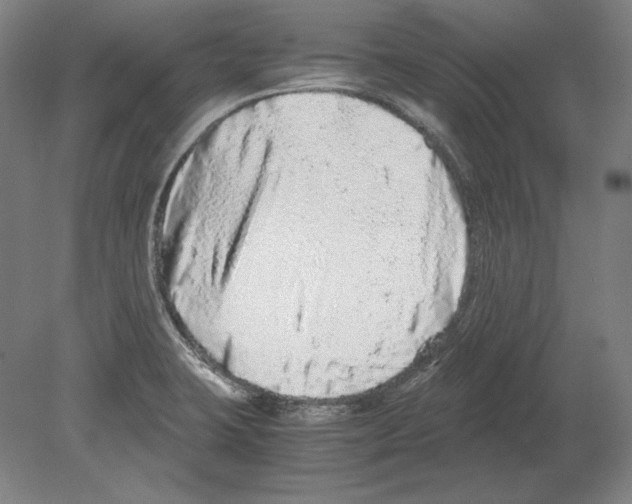 X0000080161423200701051553