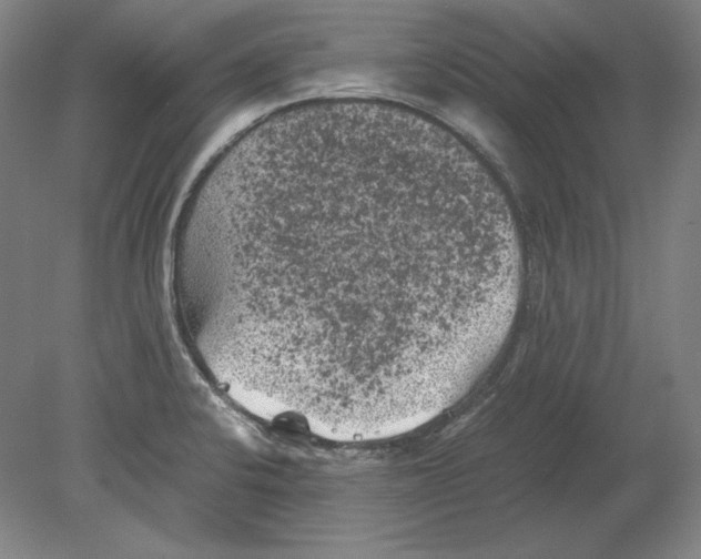 X0000080161424200701051553