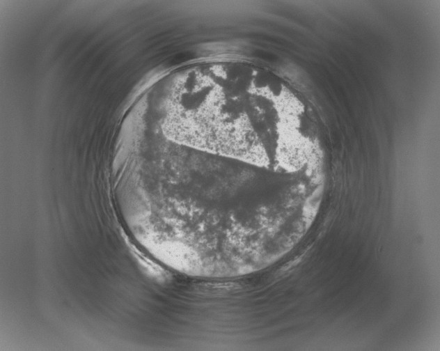 X0000080161425200701051553