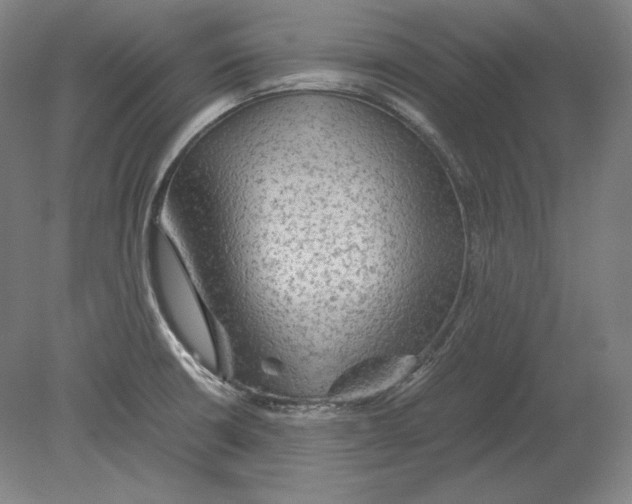 X0000080161426200701051553