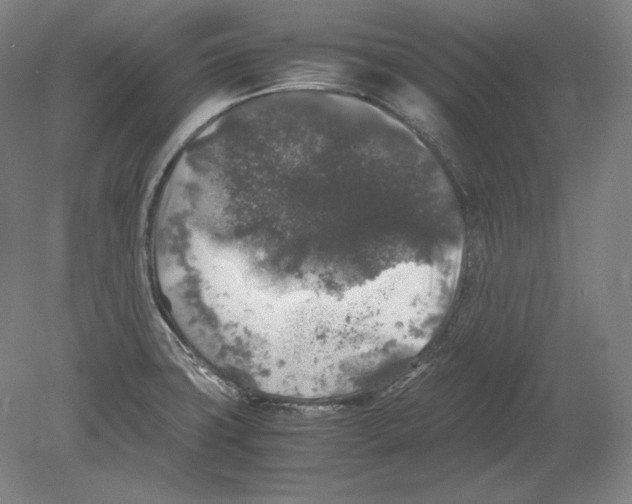 X0000080161427200701051554