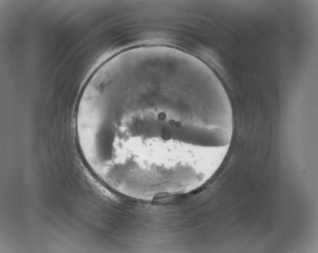 X0000080161428200701051554