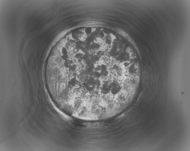 X0000080161429200701051554