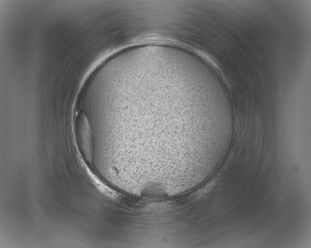 X0000080161430200701051554