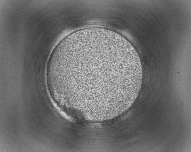 X0000080161431200701051554