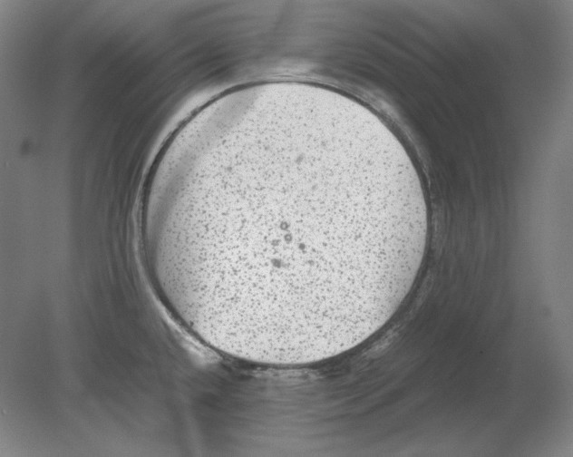 X0000080161432200701051554