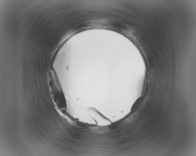 X0000080161433200701051554