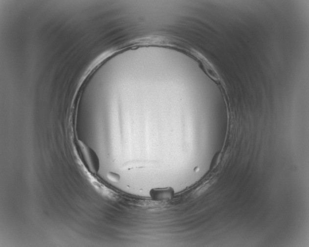 X0000080161434200701051554