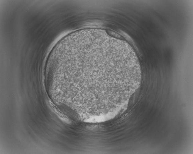 X0000080161435200701051554