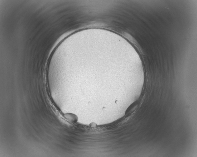 X0000080161436200701051554