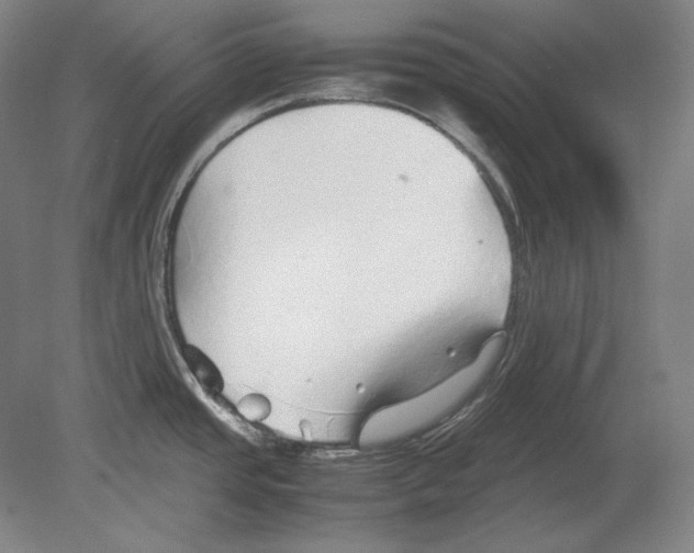 X0000080161437200701051554