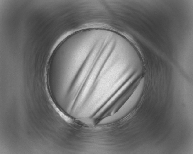 X0000080161438200701051554