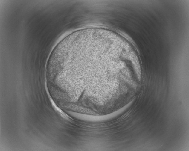 X0000080161439200701051554