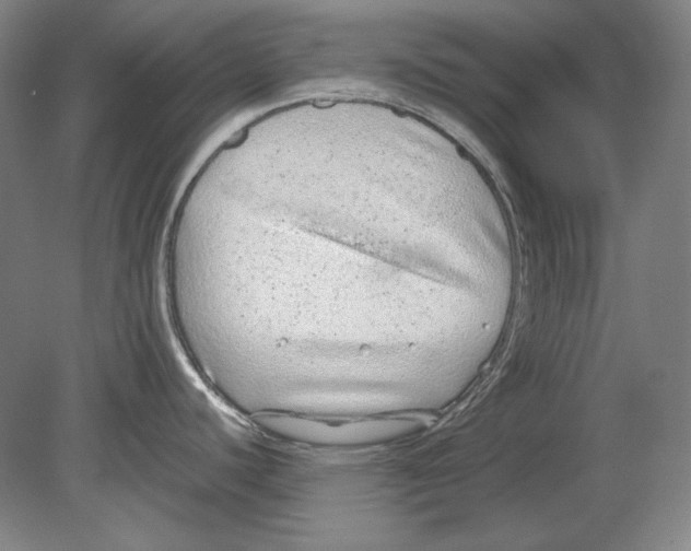 X0000080161440200701051554