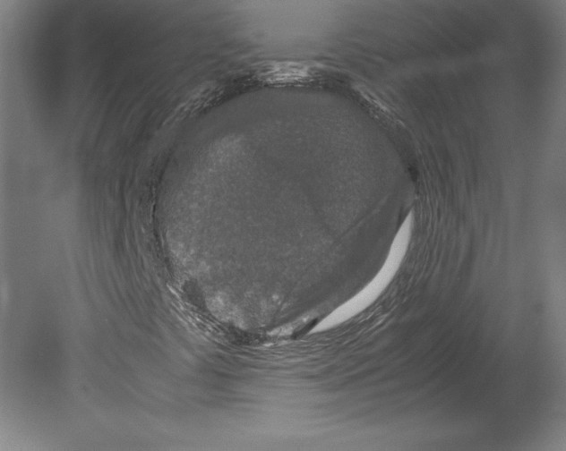 X0000080161441200701051553