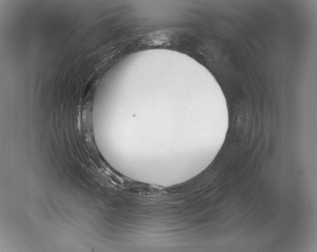 X0000080161442200701051553