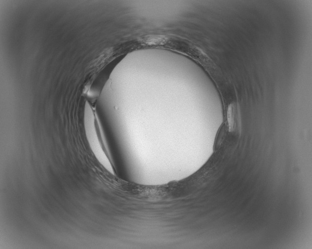 X0000080161443200701051553