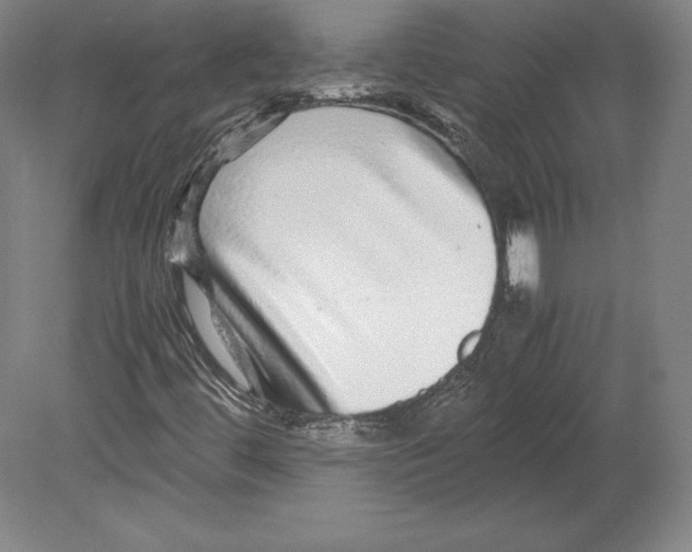 X0000080161444200701051553