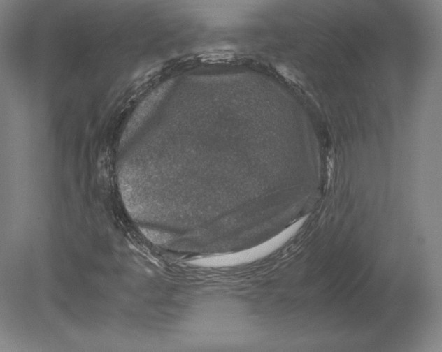 X0000080161445200701051553