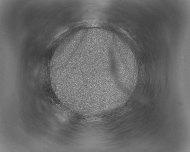 X0000080161446200701051553