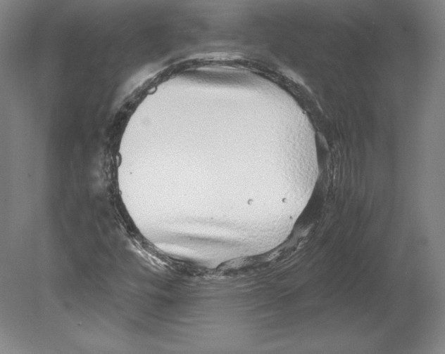 X0000080161448200701051553