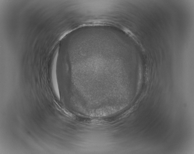 X0000080161449200701051553