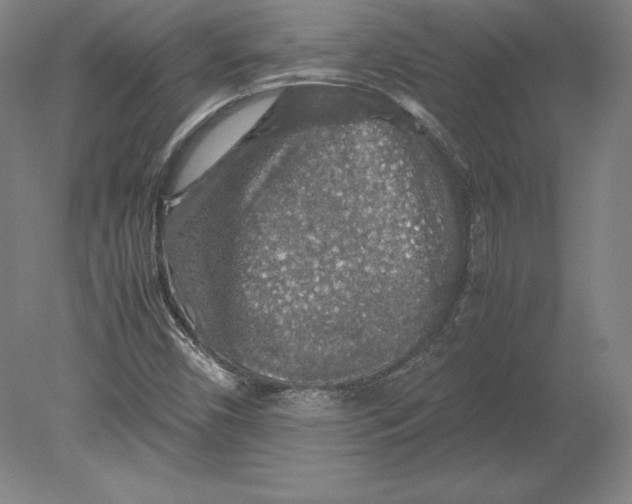 X0000080161450200701051553