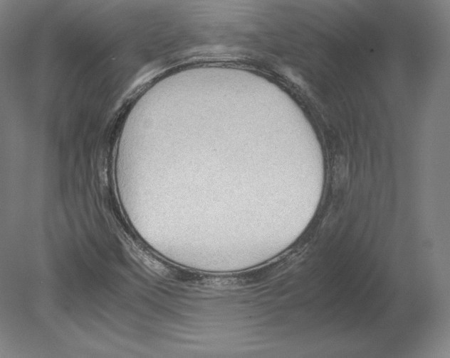 X0000080161451200701051553