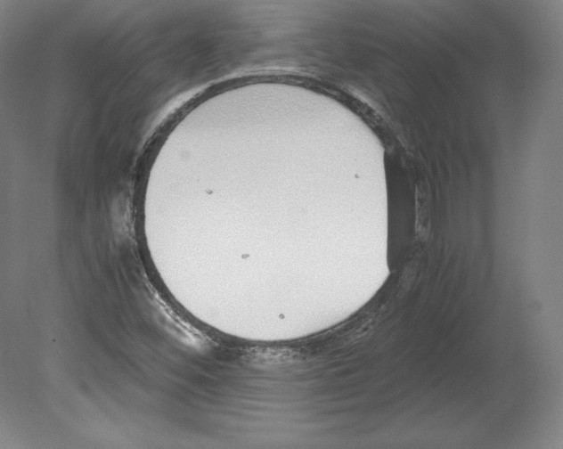 X0000080161452200701051553