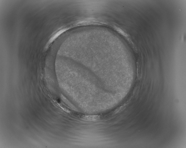 X0000080161453200701051553