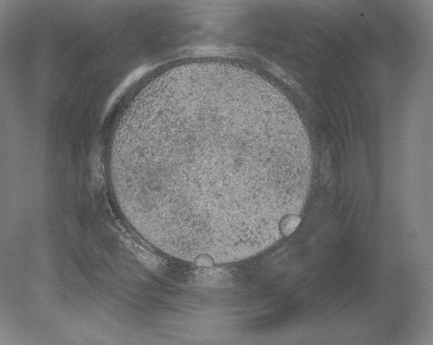 X0000080161454200701051553