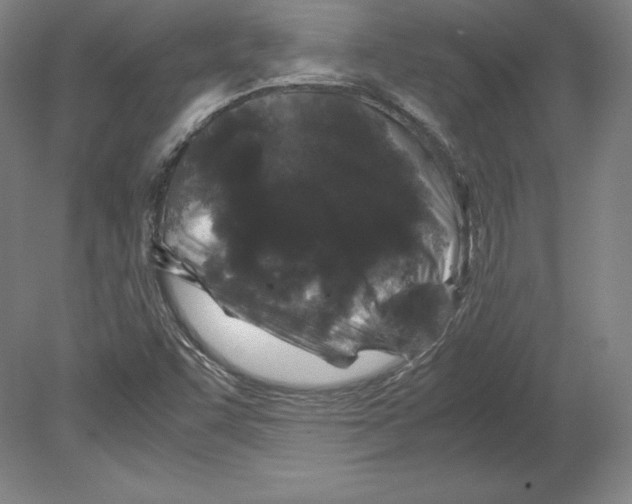 X0000080161455200701051553