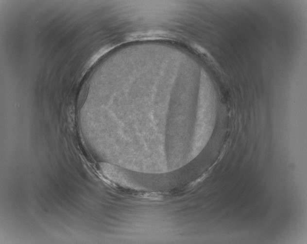 X0000080161457200701051553