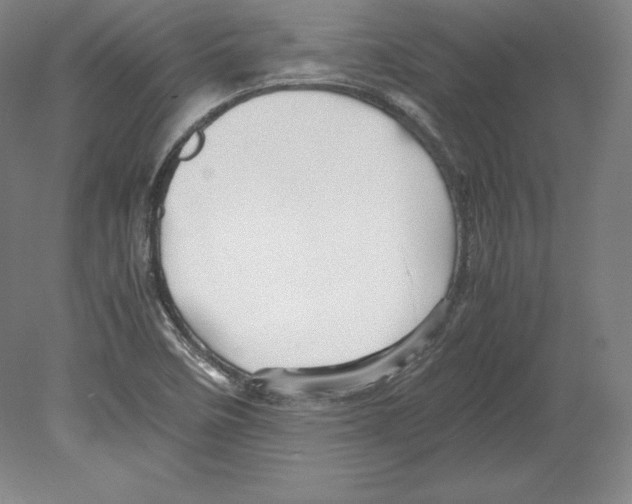 X0000080161458200701051553