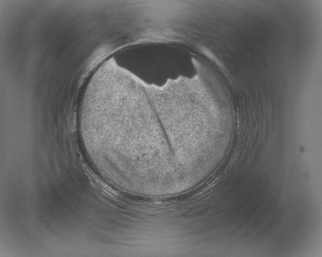 X0000080161459200701051553