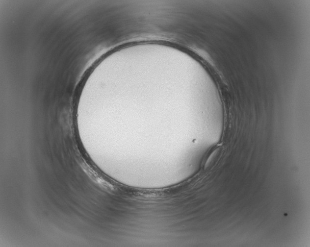 X0000080161460200701051553