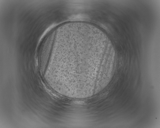 X0000080161462200701051553