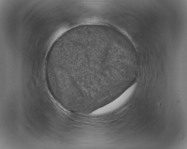 X0000080161463200701051553