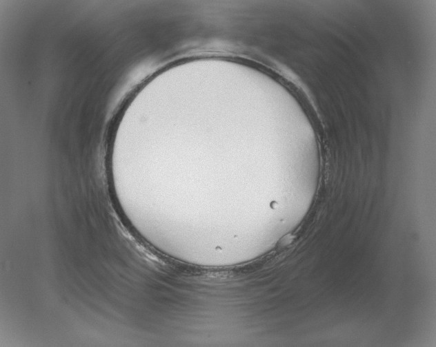 X0000080161464200701051553